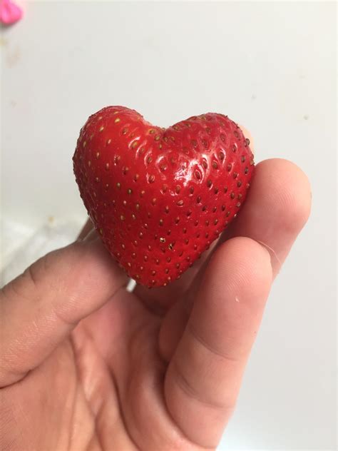 This Heart Shaped Strawberry I Ate Today Probably Should Have Sold It
