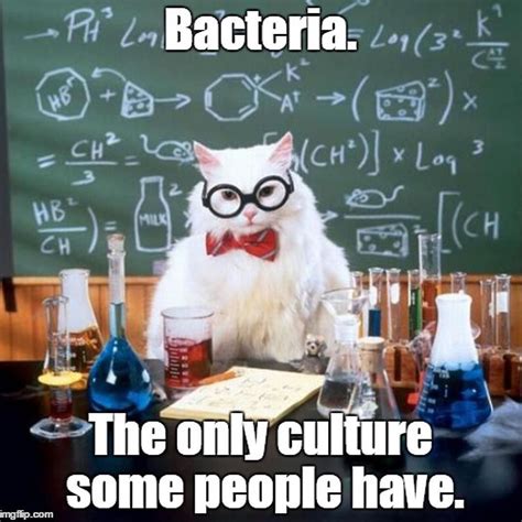The Classiest Bacteria I Ever Did See Lets Just Chat A Minute About