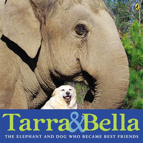 Tarra And Bella By Carol Buckley Penguin Books Australia