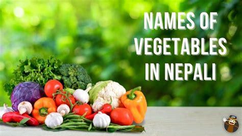 Names Of Vegetables In Nepali Easy Guide Ling App