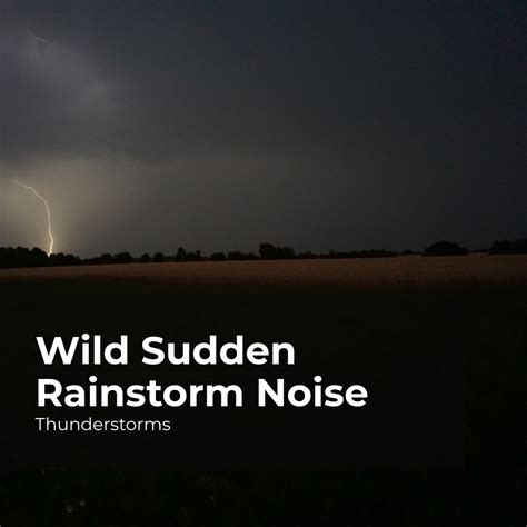 Rain and Thunder in Harmony_Thunderstorms、Sounds of Rain & Thunder