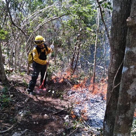 Hay Incendios Forestales Activos En M Xico De Luna Noticias