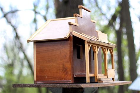 Bird House Kits Use Bird House Kits As An Educational Tool Bird