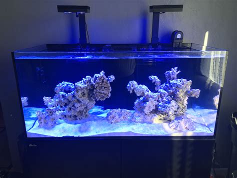 Nano Reef Tank Reef Tanks Coral Aquarium Acrylic Aquarium Reef Tank