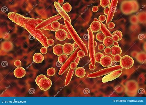 Mycoplasma Bacteria Illustration Stock Illustration Illustration Of
