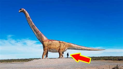 Worlds Biggest Dinosaur Simply Amazing Stuff