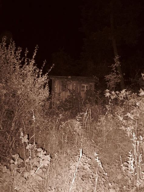 haunted shack creepy haunting celestial