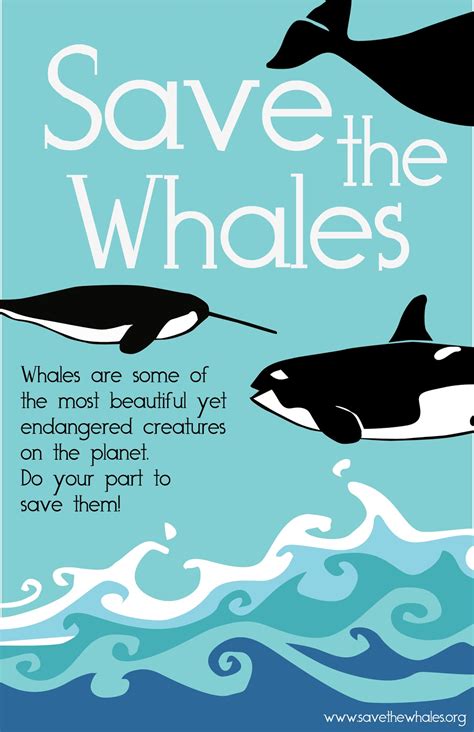 The More Beautiful Question Save The Whalesagain