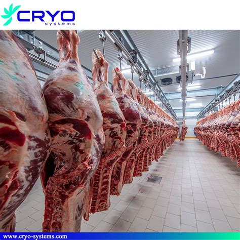 Cold Room For Meat Cryo Systems Cold Room Supplier
