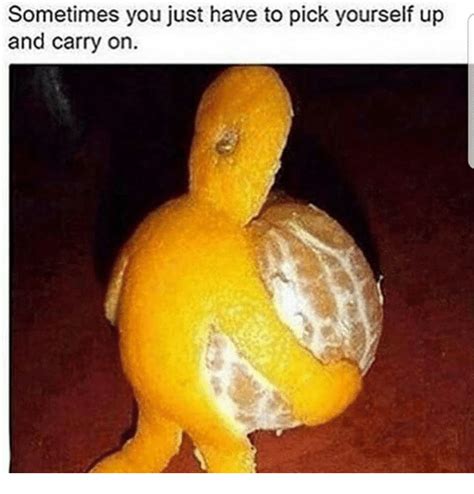 Sometimes You Just Have To Pick Yourself Up And Carry On