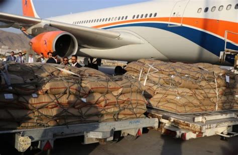 صادرات جلغوزه از راه دهلیز هوایی به چین دوباره آغاز شد Salam Watandar