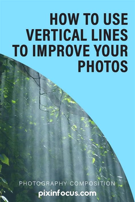 Vertical Lines Are A Compositional Element Used By Photographers To