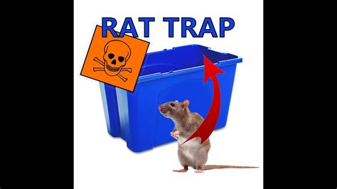 How To Create The Best And Easiest Rat Trap Youtube