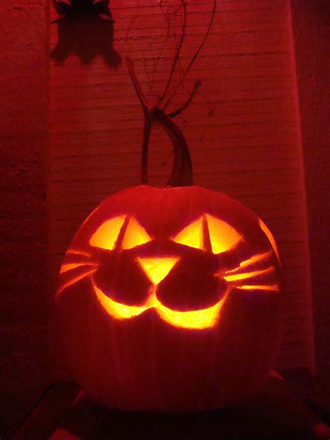 Cat Jack O Lantern Halloween Cat Halloween Themes Decorations