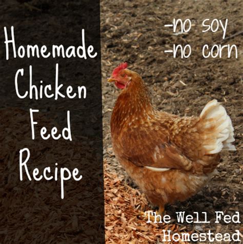 When formulating and mixing your own backyard chicken feed, the following method will help you determine the amount of energy and protein ingredients needed in the feed. 12 Homemade Feed Recipes-Give Your Chickens An Organic ...