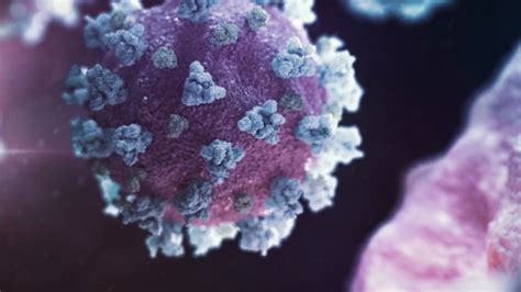 New Contagious Coronavirus Variant Could Worsen Pandemic Cdc Warns Cnn