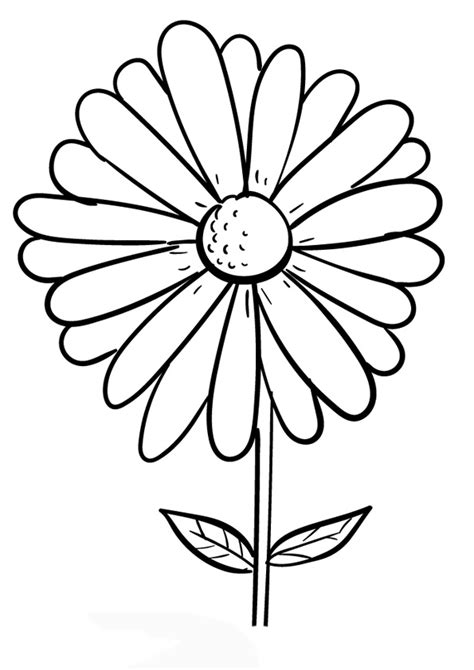 Daisy Flower Printable Coloring Pages Best Flower Site