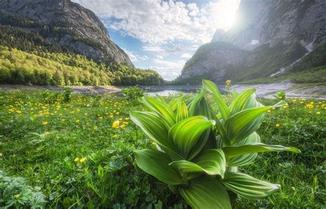 Photography Nature Landscape Spring Mountains Wildflowers Sunset River Alps Forest