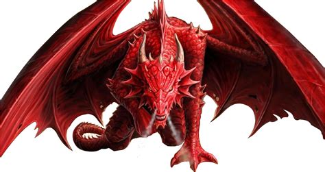 Download Red Dragon Png Red Dragon Transparent Background Png Image