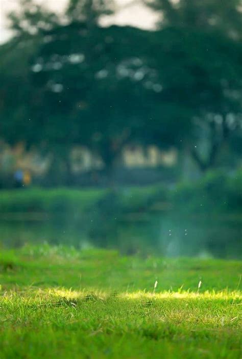 Natural Backgrounds for Photo Editing | Picsart