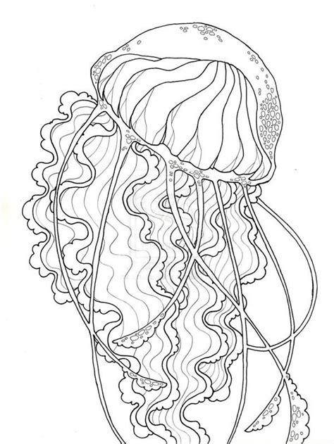 beauty jellyfish coloring page  print  coloring pages   color nimbus