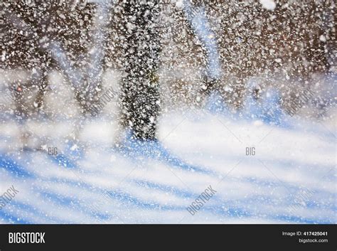 Snowfall Winter Snow Image And Photo Free Trial Bigstock