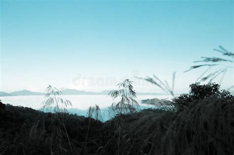 Morning Mist At Tropical Mountain Range Stock Image Image Of