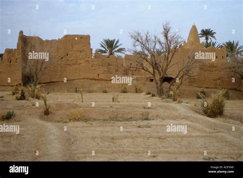 Skoura Maroc Marabout De Ruines Les Champs Irrigués Abandonnées à