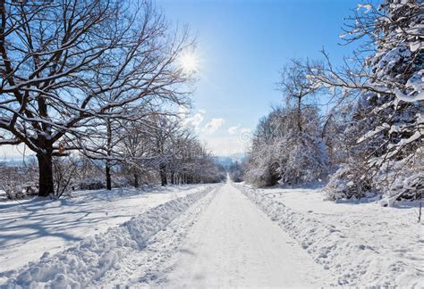 Winter Road Landscape With Snow Covered Trees And Bright