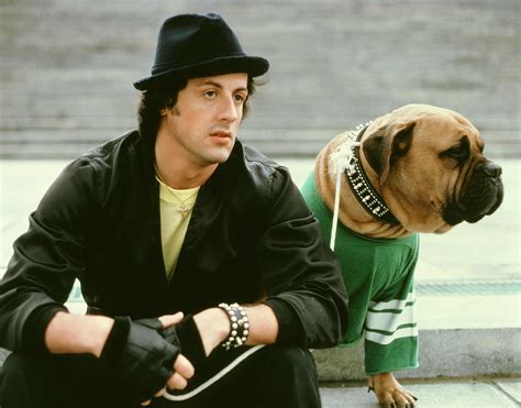 Sylvester Stallone Rocky Movies 145 2 Wallpapers Hd Desktop And