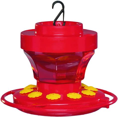 Your Guide To Buying The Best Hummingbird Feeder Top 5 Best Products
