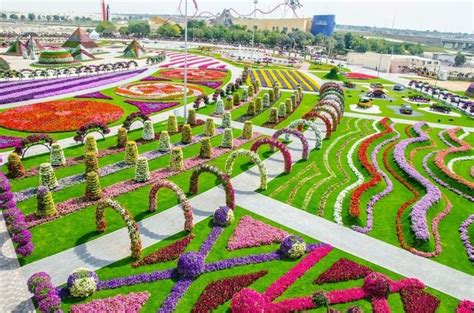 Dubai Flower Park Miracle Garden Gardens Of The World Most