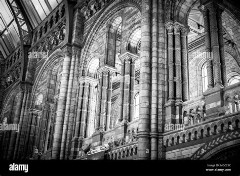 Main Hall Of The Natural History Museum London Stock Photo Alamy