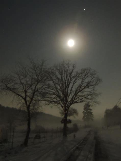 104 Best Images About Foggy Nights On Pinterest Dark Todd Hido And