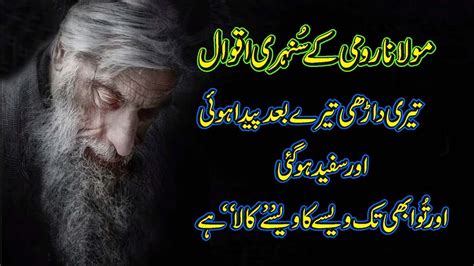 Maulana Rumi Inspirational Quotes In Urdu Amazing Quotes Urdu Aqwal