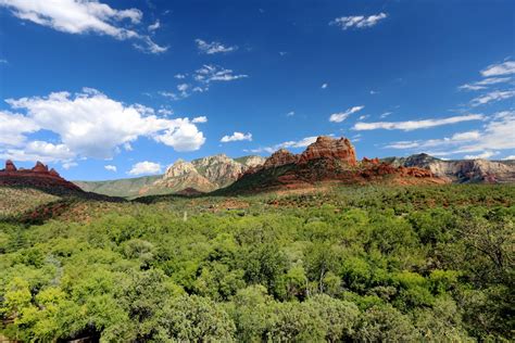 Fotos Gratis Paisaje árbol Naturaleza Bosque Rock Desierto