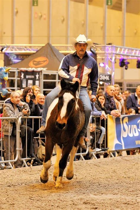 En janvier, comme tous les ans depuis presque 30 ans, c'est le festival équestre en avignon de cheval passion. Salon du cheval de Tournai et Mons nos photos
