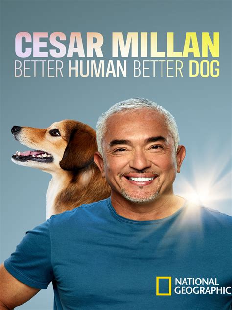 Cesar Millan Better Human Better Dog Rotten Tomatoes