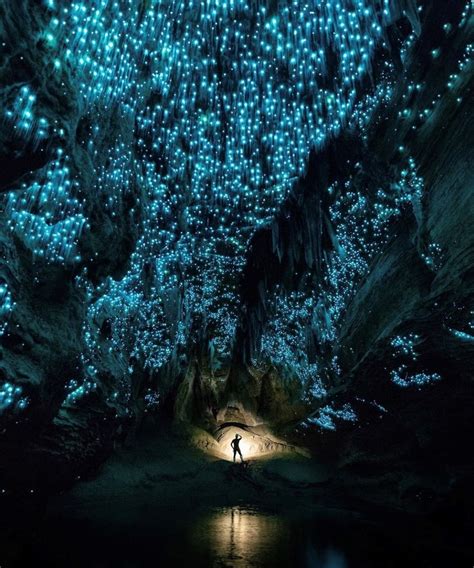 New Zealand On Instagram “in Our Glowworm Caves You Can Stargaze All
