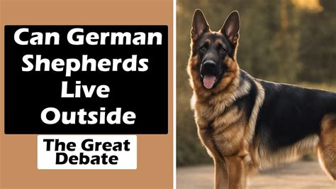 Can German Shepherds Live Outside The Great Debate Youtube