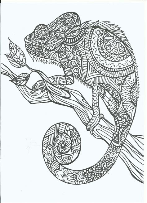 Chameleon coloring pages to print: Coloring Page World: Chameleon (Portrait)/ visit this site ...