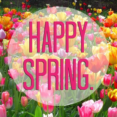 Happy Spring spring tulips spring quotes happy spring hello spring ...