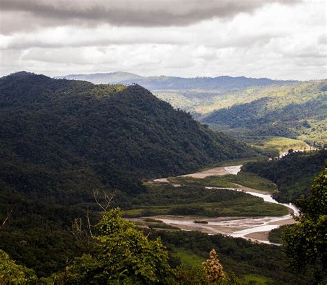 Best Ecuadorian Amazon Tour How To Combine The Wanderbus With The