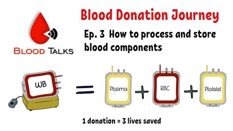 Ep3 Components Processing And Storage How Donated Blood Being