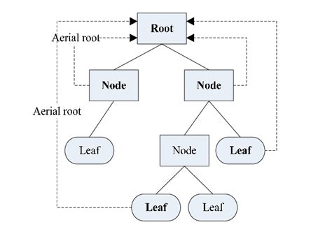 Aerial Root In Bio System Of A Banyan Tree Download Scientific Diagram