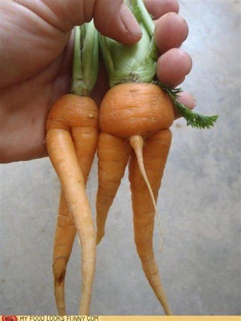 Carrots Funny Vegetables Food Humor Carrots