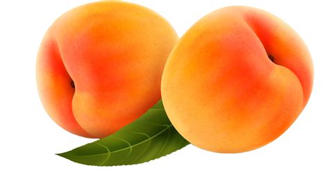 Cute Peach Png Peach Png Image And Peach Png Clipart Clip Art Png