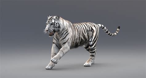 3d White Tiger Animated Fur — Missset