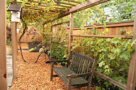 How To Build A Grape Trellis Cotswold Homes