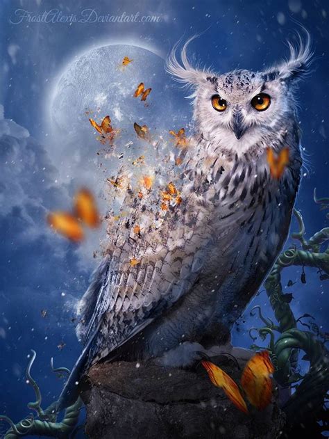 Fantasy Owl Owl Artwork Owl Illustration Owl Pictures